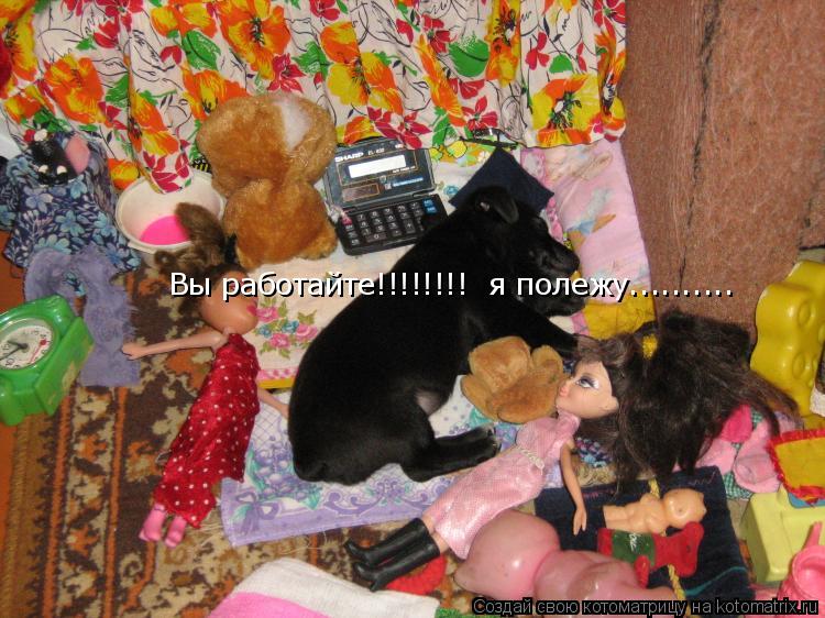Котоматрица: Вы работайте!!!!!!!!  я полежу..........