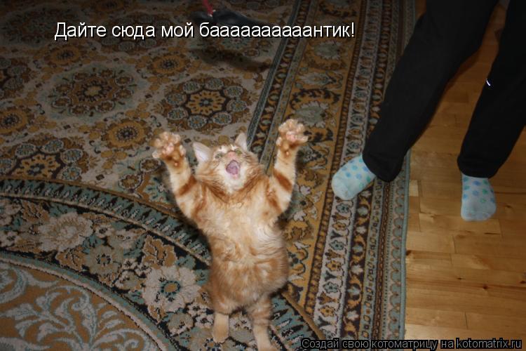 Котоматрица: Дайте сюда мой баааааааааантик!