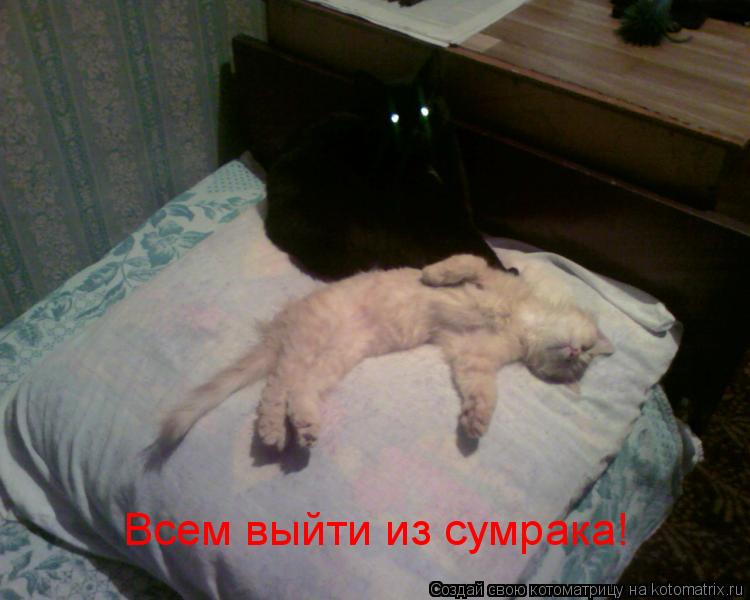 Всем выйти из сумрака!... Котоматрица: Всем выйти из сумрака!