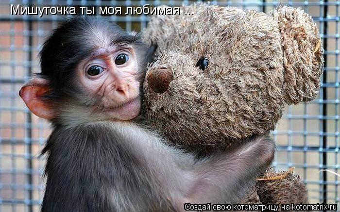 Котоматрица: Мишуточка ты моя любимая ...