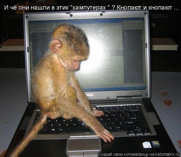 Котоматрица: И чё они нашли в этих "кампутерах " ? Кнопают и кнопают ...