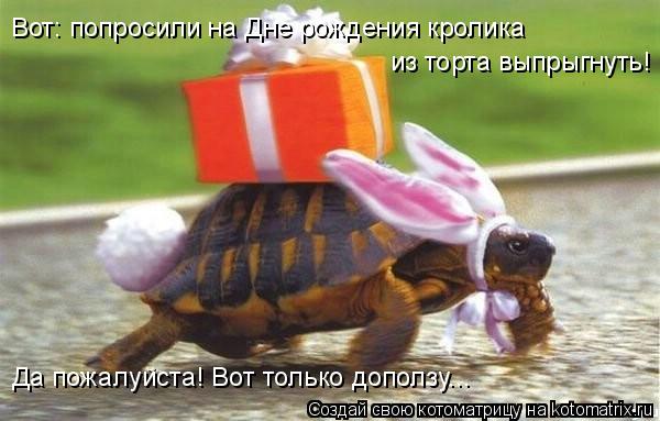 Да пожалуйста! Вот только доползу... Вот: попросили на Дне рождения кролика из торта выпрыгнуть!... Котоматрица: Да пожалуйста! Вот только доползу... Вот: попросили на Дне рождения кролика из торта выпрыгнуть!