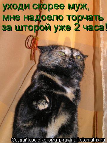 уходи скорее муж, мне надоело торчать за шторой уже 2 часа!!!... Котоматрица: уходи скорее муж, мне надоело торчать за шторой уже 2 часа!!!