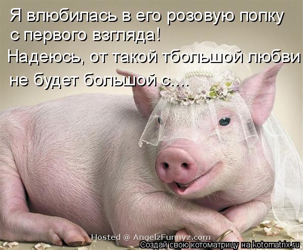 Я влюбилась в его розовую попку с первого взгляда! Надеюсь, от такой тбольшой любви не будет большой ... Котоматрица: Я влюбилась в его розовую попку с первого взгляда! Надеюсь, от такой тбольшой любви не будет большой с....