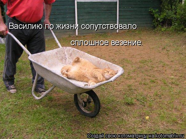 Котоматрица: Василию по жизни сопутствовало сплошное везение.