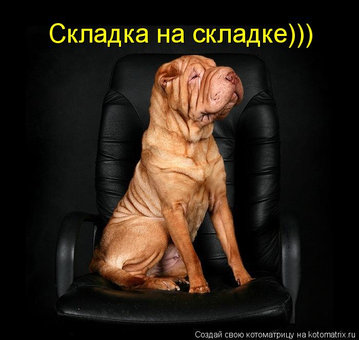 Котоматрица: Складка на складке)))