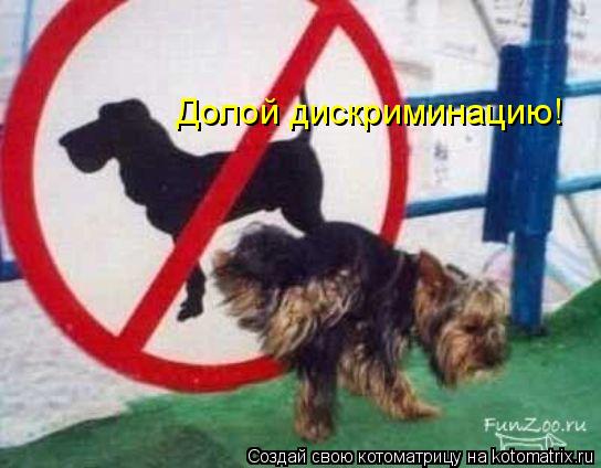 Котоматрица: Долой дискриминацию!