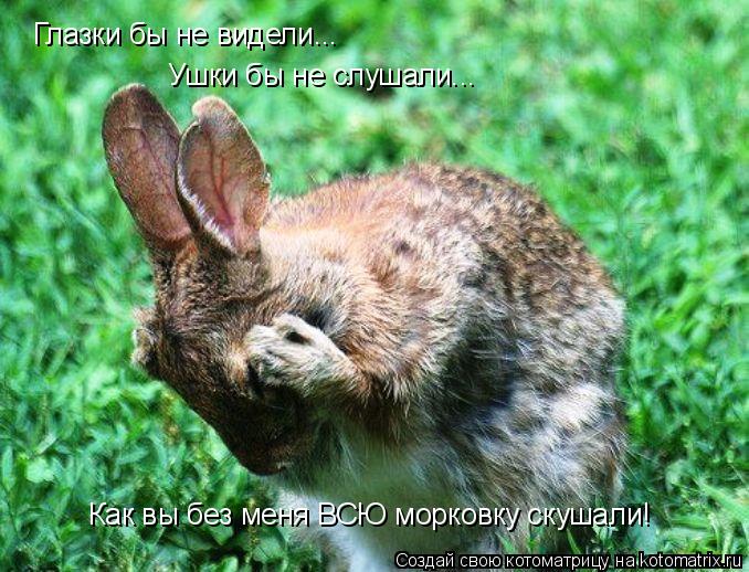 Котоматрица: Глазки бы не видели... Ушки бы не слушали... Как вы без меня ВСЮ морковку скушали!