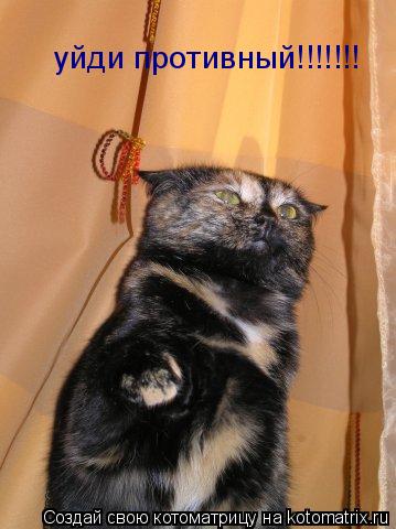 уйди противный!!!!!!!... Котоматрица: уйди противный!!!!!!!