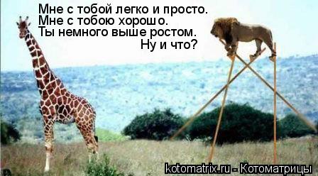 Котоматрица: Мне с тобой легко и просто. Мне с тобою хорошо. Ты немного выше ростом. Ну и что?