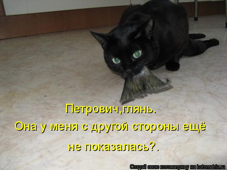 Петрович,глянь. Она у меня с другой стороны ещё не показалась?.... Котоматрица: Петрович,глянь. Она у меня с другой стороны ещё не показалась?.