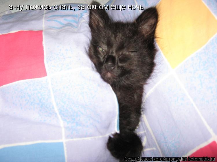 а-ну ложись спать, за окном еще ночь... Котоматрица: а-ну ложись спать, за окном еще ночь