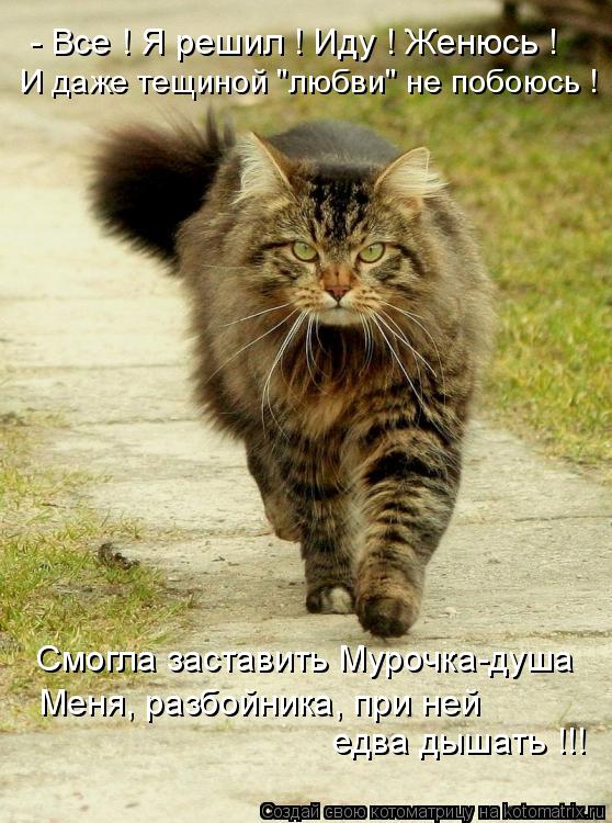 - Все ! Я решил ! Иду ! Женюсь ! И даже тещиной "любви" не побоюсь ! Смогла заставить Мурочка-душа Ме... Котоматрица: - Все ! Я решил ! Иду ! Женюсь ! И даже тещиной "любви" не побоюсь ! Смогла заставить Мурочка-душа Меня, разбойника, при ней едва дышать !!!