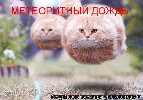 МЕТЕОРИТНЫЙ ДОЖДЬ... Котоматрица: МЕТЕОРИТНЫЙ ДОЖДЬ