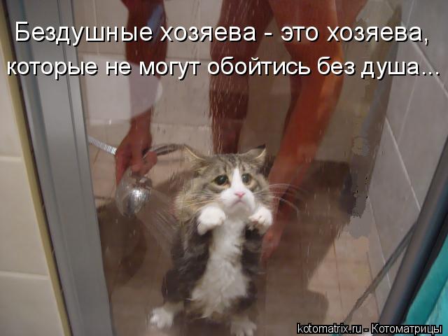 Котоматрица: Бездушные хозяева - это хозяева, которые не могут обойтись без душа...