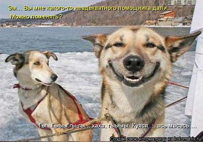 Гы...Гыыы.гы-гы... хаха, гыыыы. Куяся.... ась масась.... Эм... Вы мне какого-то неадекватного помощни... Котоматрица: Гы...Гыыы.гы-гы... хаха, гыыыы. Куяся.... ась масась.... Эм... Вы мне какого-то неадекватного помощника дали... Можно поменять?