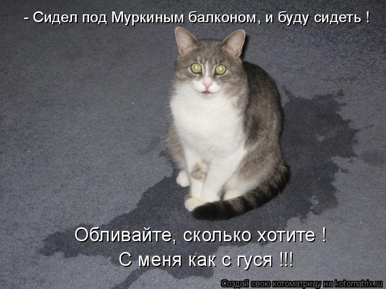 - Сидел под Муркиным балконом, и буду сидеть ! Обливайте, сколько хотите ! С меня как с гуся !!!... Котоматрица: - Сидел под Муркиным балконом, и буду сидеть ! Обливайте, сколько хотите ! С меня как с гуся !!!