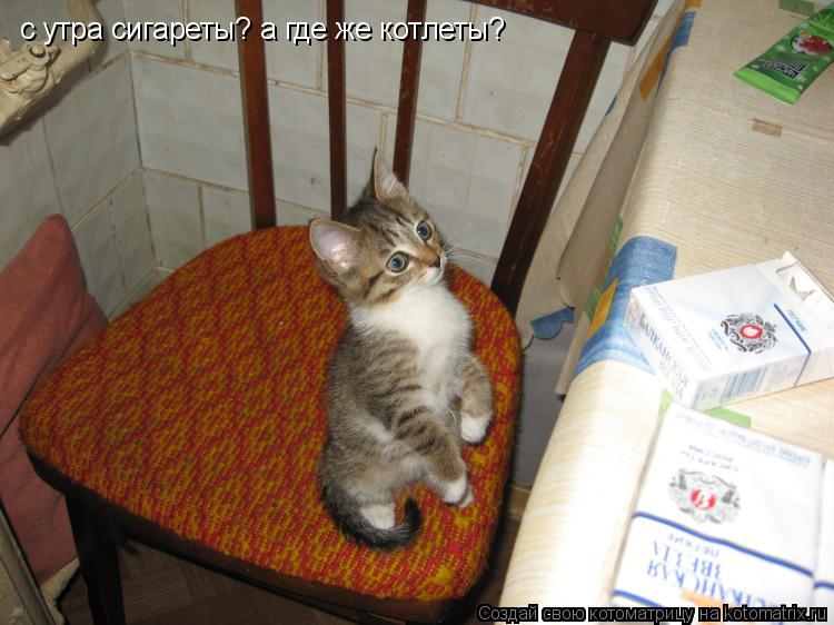 с утра сигареты? а где же котлеты?... Котоматрица: с утра сигареты? а где же котлеты?