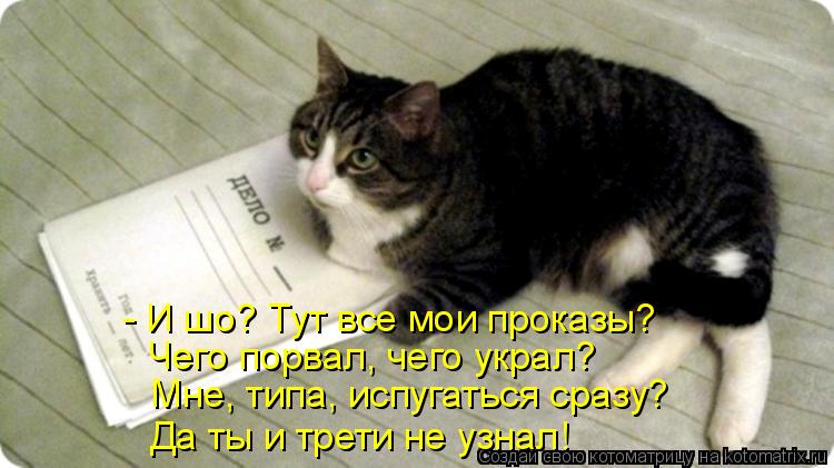 - И шо? Тут все мои проказы? Чего порвал, чего украл? Мне, типа, испугаться сразу? Да ты и трети не... Котоматрица: - И шо? Тут все мои проказы? Чего порвал, чего украл? Мне, типа, испугаться сразу? Да ты и трети не узнал!