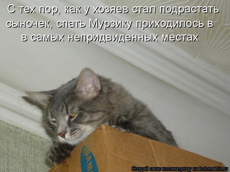 С тех пор, как у хозяев стал подрастать сыночек, спать Мурзику приходилось в в самых непридвиденных ... Котоматрица: С тех пор, как у хозяев стал подрастать сыночек, спать Мурзику приходилось в в самых непридвиденных местах