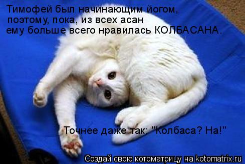Тимофей был начинающим йогом, поэтому, пока, из всех асан ему больше всего нравилась КОЛБАСАНА. Точне... Котоматрица: Тимофей был начинающим йогом, поэтому, пока, из всех асан ему больше всего нравилась КОЛБАСАНА. Точнее даже так: "Колбаса? На!"