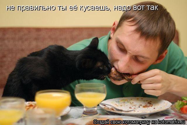 не правильно ты её кусаешь, надо вот так... Котоматрица: не правильно ты её кусаешь, надо вот так