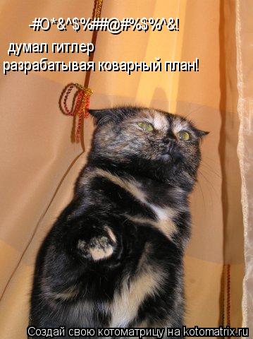 Котоматрица: -#O*&^$%##@#%$%^&! думал гитлер  разрабатывая коварный план!