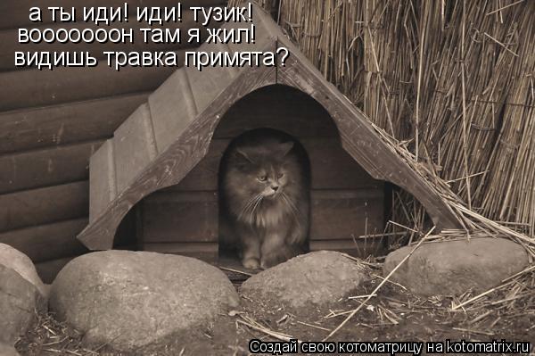 Котоматрица: а ты иди! иди! тузик! вооооооон там я жил! видишь травка примята?
