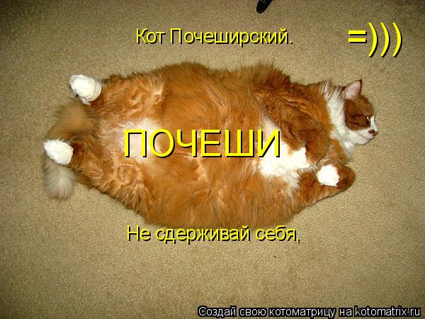 Котоматрица: Кот Почеширский. Не сдерживай себя,почеши!!!!! Не сдерживай себя, ПОЧЕШИ =)))