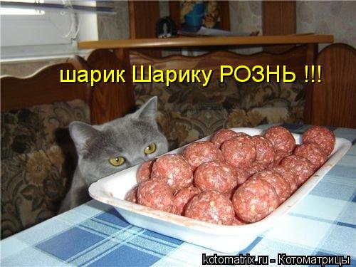 шарик Шарику РОЗНЬ !!!... Котоматрица: шарик Шарику РОЗНЬ !!!