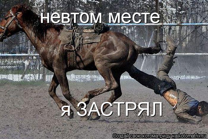 Котоматрица: невтом месте я ЗАСТРЯЛ
