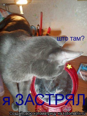 што там? я ЗАСТРЯЛ... Котоматрица: што там? я ЗАСТРЯЛ