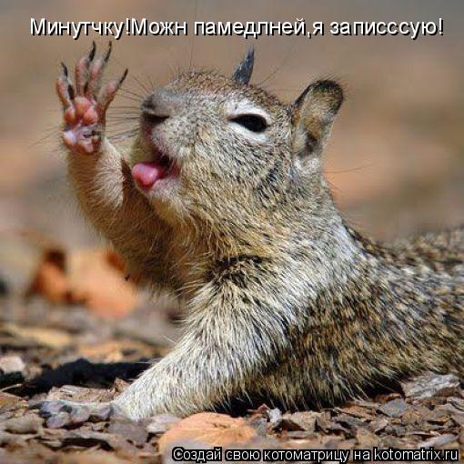 Минутчку!Можн памедлней,я записссую!... Котоматрица: Минутчку!Можн памедлней,я записссую!