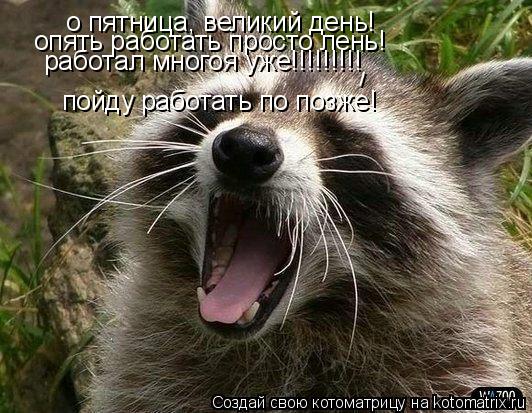 о пятница, великий день! опять работать просто лень! работал многоя уже!!!!!!!!! пойду работать по по... Котоматрица: о пятница, великий день! опять работать просто лень! работал многоя уже!!!!!!!!! пойду работать по позже! /
