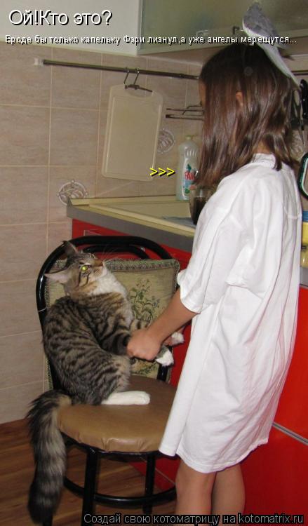 Ой!Кто это? Вроде бы только капельку Фэри лизнул,а уже ангелы мерещутся... >>>... Котоматрица: Ой!Кто это? Вроде бы только капельку Фэри лизнул,а уже ангелы мерещутся... >>>