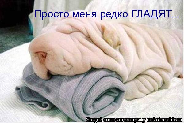 Просто меня редко ГЛАДЯТ...... Котоматрица: Просто меня редко ГЛАДЯТ...