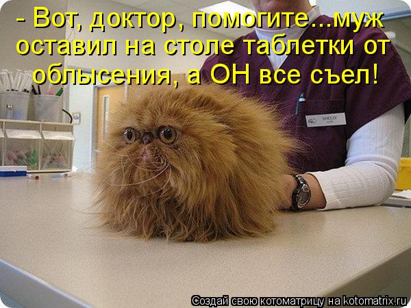 - Вот, доктор, помогите...муж оставил на столе таблетки от облысения, а ОН все съел!... Котоматрица: - Вот, доктор, помогите...муж оставил на столе таблетки от облысения, а ОН все съел!