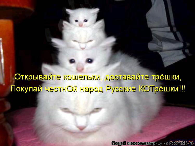 Открывайте кошельки, доставайте трёшки, Покупай честнОй народ Русские КОТрёшки!!!... Котоматрица: Открывайте кошельки, доставайте трёшки, Покупай честнОй народ Русские КОТрёшки!!!