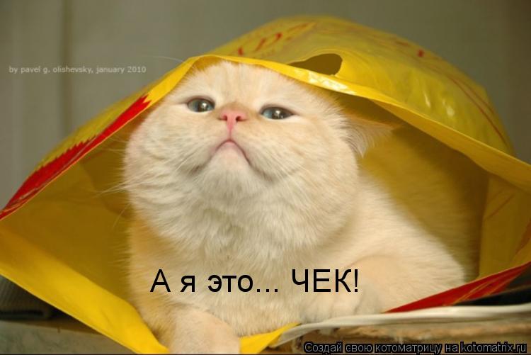 А я это... ЧЕК!... Котоматрица: А я это... ЧЕК!