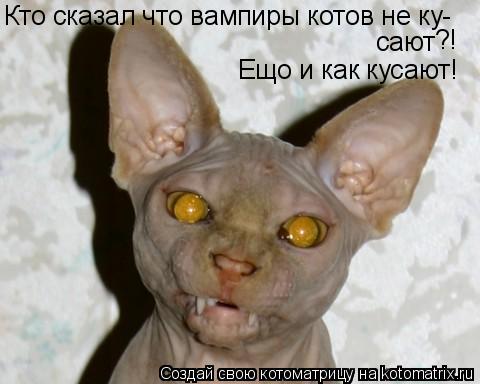 Кто сказал что вампиры котов не ку- Ещо и как кусают! сают ?!... Котоматрица: Кто сказал что вампиры котов не ку- Ещо и как кусают! сают ?!