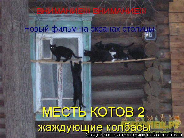 ВНИМАНИЕ!!! ВНИМАНИЕ!!! Новый фильм на экранах столицы МЕСТЬ КОТОВ 2 жаждующие колбасы... Котоматрица: ВНИМАНИЕ!!! ВНИМАНИЕ!!! Новый фильм на экранах столицы МЕСТЬ КОТОВ 2 жаждующие колбасы