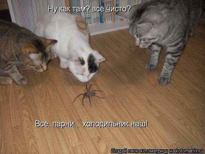 Ну как там? всё чисто? Всё, парни... холодильник наш!... Котоматрица: Ну как там? всё чисто? Всё, парни... холодильник наш!