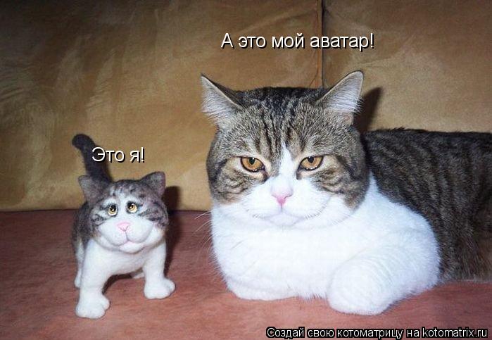Это я! А это мой аватар!... Котоматрица: Это я! А это мой аватар!