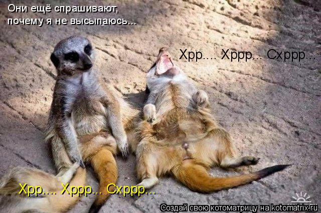 Хрр.... Хррр... Схррр... Хрр.... Хррр... Схррр... Они ещё спрашивают, почему я не высыпаюсь...... Котоматрица: Хрр.... Хррр... Схррр... Хрр.... Хррр... Схррр... Они ещё спрашивают, почему я не высыпаюсь...