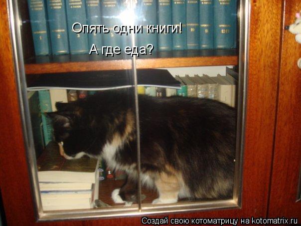 Опять одни книги! Опять одни книги! А где еда?... Котоматрица: Опять одни книги! Опять одни книги! А где еда?