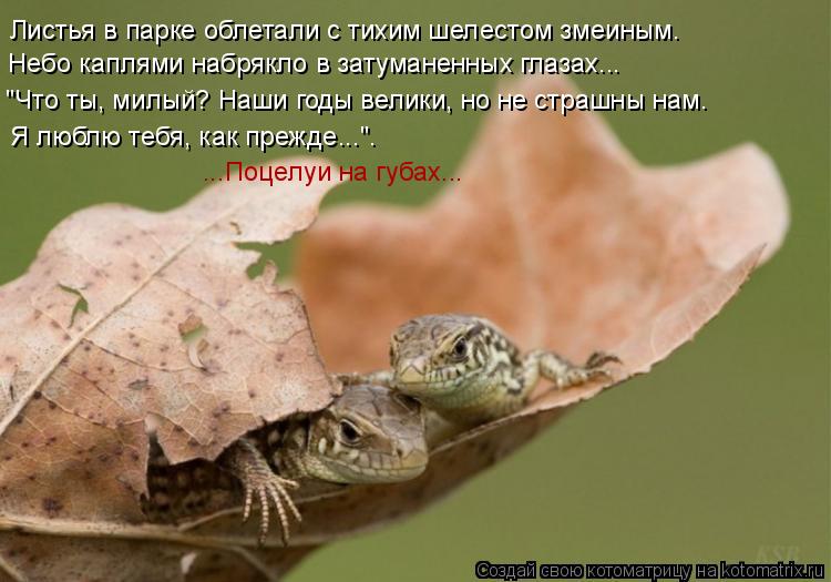 Листья в парке облетали с тихим шелестом змеиным. Небо каплями набрякло в затуманенных глазах... "Что... Котоматрица: Листья в парке облетали с тихим шелестом змеиным. Небо каплями набрякло в затуманенных глазах... "Что ты, милый? Наши годы велики, но не страш