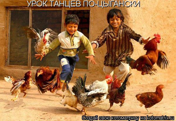 УРОК ТАНЦЕВ ПО-ЦЫГАНСКИ... Котоматрица: УРОК ТАНЦЕВ ПО-ЦЫГАНСКИ