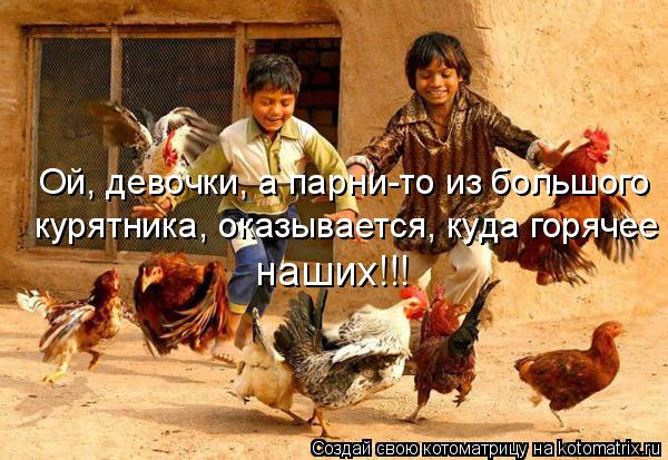 Ой, девочки, а парни-то из большого курятника, оказывается, куда горячее наших!!!... Котоматрица: Ой, девочки, а парни-то из большого курятника, оказывается, куда горячее наших!!!