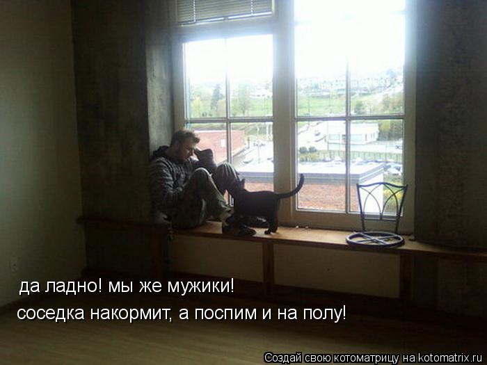 да ладно! мы же мужики! соседка накормит, а поспим и на полу!... Котоматрица: да ладно! мы же мужики! соседка накормит, а поспим и на полу!