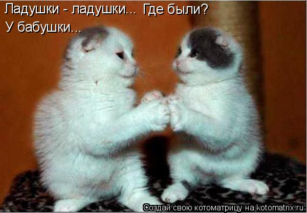Ладушки - ладушки... Где были? У бабушки...... Котоматрица: Ладушки - ладушки... Где были? У бабушки...